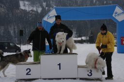 Lenk 2012 SM